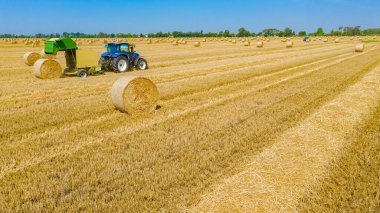 Traktörün yukarısında mercimeği fırına veren makine, kamışı yuvarlıyor ve tarımsal alanın üzerine yuvarlanmış bir balya püskürtüyor..