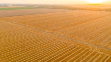 Yuvarlak balyaların üzerinde, tarımsal alanın üzerine saman ruloları, doku, model, arka plan, gün batımında.