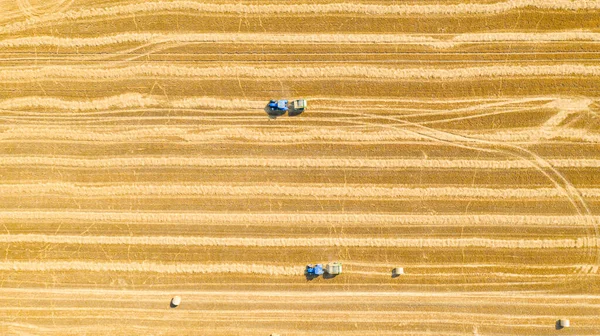 Üst Taraftaki Iki Traktörün Mercimeği Fırına Verirken Makineler Kamışı Yuvarlayarak — Stok fotoğraf