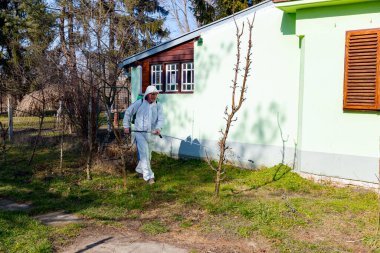 Koruyucu giysiler içindeki çiftçi meyve ağaçlarını uzun spreyle mantar hastalıklarından veya bahar başında haşaratlardan korumak için ilaçlıyor..