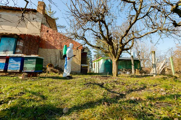 Farmer in protective clothing sprays fruit trees in orchard using long sprayer to protect them with chemicals from fungal disease or vermin at early springtime, near bee colony, apiary.