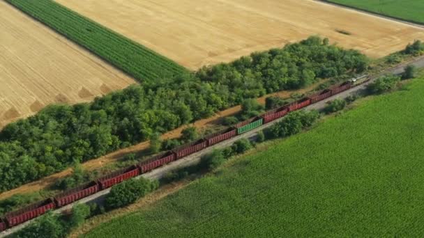 空中ビュー ドローン軌道 長い組成物 空の貨物鉄道列車の横にパンニング 栽培プロットを渡す 成熟した小麦 トウモロコシ 緑の植生のひまわり 分割された農業分野 — ストック動画