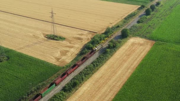 Aerial View Long Composition Empty Freight Railroad Train Passing Several — Stock Video
