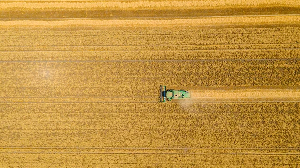 Letecký Pohled Shora Nad Zemědělským Kombajnem Kombinovat Při Řezání Sklizni — Stock fotografie