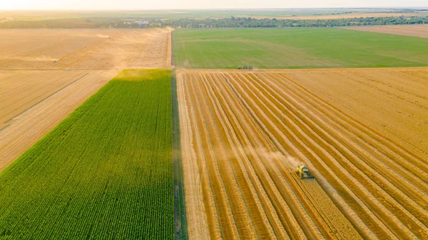 Pemandangan Udara Atas Pemanen Pertanian Menggabungkan Pemotongan Dan Panen Gandum — Stok Foto