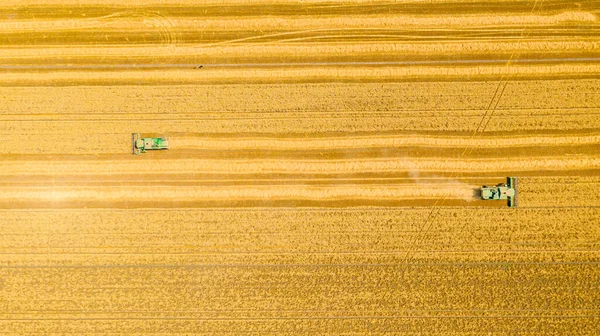 Letecký Pohled Shora Přes Dva Zemědělské Sklízeče Kombinuje Jak Kácejí — Stock fotografie