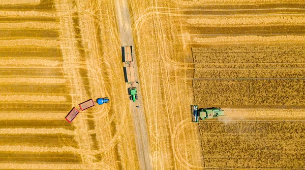 Zrenjanin Vojvodina Serbia June 2022 Aerial Top View Agricultural Harvester — Stock Photo, Image