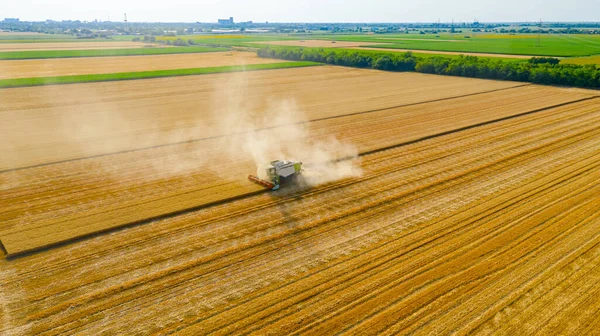 Zrenjanin Vojvodina Serbia Juni 2022 Pandangan Udara Terhadap Pemanen Pertanian — Stok Foto