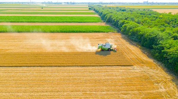 Zrenjanin Vojvodina Serbia June 2022 Aerial View Agricultural Harvester Combine — Stock Photo, Image