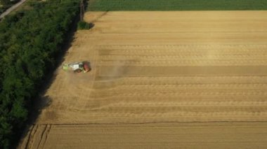 Hava görüntüsü, insansız hava aracı başınızın üstünde ilerler, kamerayı aşağı indirir, tarım hasat makinesinin üzerinden uçar, çiftlikte yetişmiş buğdayları kesip biçerken birleşir ve hasat ederken.