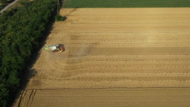 Aerial View Drone Move Forwards Overhead Tilting Camera Fly Agricultural — Stock Video