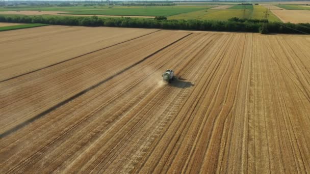 Aerial View Harvester Combine Cutting Harvesting Mature Wheat Farm Fields — Stock Video