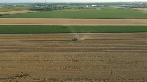 空中側の眺め カメラのパンニング横 農業用収穫機 組み合わせは 農場の畑で成熟した小麦を切断し 収穫しています 塵の雲 — ストック動画