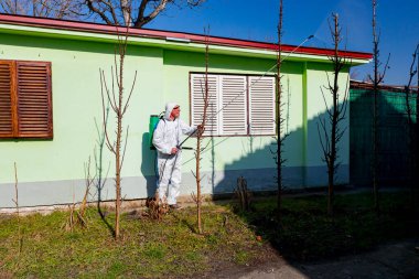 Koruyucu giysiler içindeki çiftçi meyve ağaçlarını uzun spreyle mantar hastalıklarından veya bahar başında haşaratlardan korumak için ilaçlıyor..