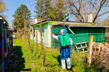Meyve bahçesindeki elma ağaçlarının dalında çiçek tomurcukları, çeşitli boş arı kovanları ve kulübelerin arasında koruyucu bir çiftçi, meyve dallarına uzun spreyler sıkar..