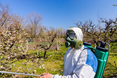 Koruyucu giysiler ve gaz maskeli çiftçi yüzünde filtre ile meyve ağaçlarına meyve tomurcukları püskürtür. Bahar başında onları mantarlardan veya haşaratlardan korumak için uzun sprey kullanır..