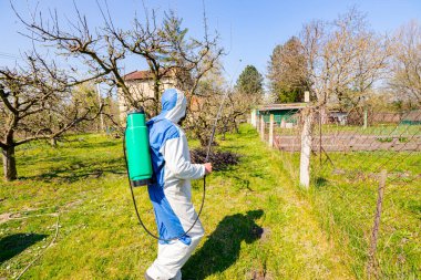 Bahçedeki meyve ağaçlarının koruyucu giysileri ve gaz maskeli çiftçileri uzun spreyleri kullanarak ilkbaharın başlarında onları mantar hastalıklarından veya haşaratlardan koruyorlar..