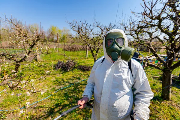 Koruyucu Giysiler Gaz Maskeli Çiftçi Yüzünde Filtre Ile Meyve Ağaçlarına — Stok fotoğraf