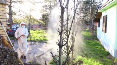 Koruyucu giysili çiftçi ve koruyucu tıbbi cerrahi yüz maskesi ile meyve ağaçlarını uzun spreyle ilaçlarken, ilkbahar başında mantar hastalıklarından veya haşaratlardan korunurken,