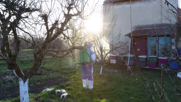 Farmář Ochranných Oděvech Rozstřikuje Ovocné Stromy Sadu Pomocí Dlouhého Postřikovače — Stock video
