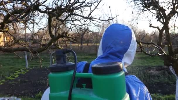 保護服の農家は 蜂のコロニーの近くで 早春に真菌病や害虫から化学物質でそれらを保護するために長い噴霧器を使用して果樹園で果物の木を噴霧します — ストック動画