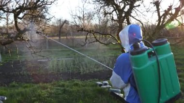 Koruyucu giysiler içindeki çiftçi meyve ağaçlarına uzun spreyler sıkarak onları mantar hastalıklarından ya da parazitlerden korur. İlkbaharın başlarında, arı kolonisi yakınlarında, arı kolonisi yakınlarında.