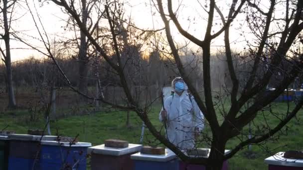 Zahradník Ochranném Celkovém Posypu Ovocné Stromy Dlouhým Postřikovačem Včelín Sadu — Stock video