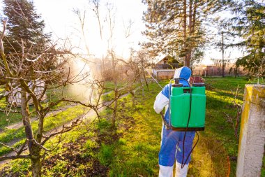 Arkadan çekilen, koruyucu giysilerle çiftçiye arka plan ışığı meyve ağaçlarını uzun spreyle ilaçlayarak ilkbaharın başlarında onları mantar hastalığından veya haşaratlardan korur..