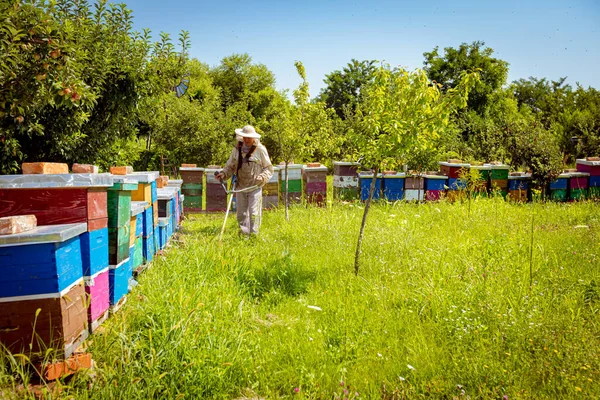 Bahçıvan Arı Yetiştiricisi Kablosuz Biçme Makinesiyle Çim Biçiyor Benzin Biçme — Stok fotoğraf