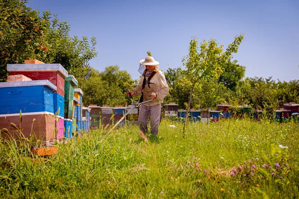 養蜂家は 蜂のコロニーに配置された蜂の巣の中で コードレスの手の芝刈り機 ガソリン草のトリマー エッジャーで草を切っています 夏の間の生い茂った植生 — ストック写真