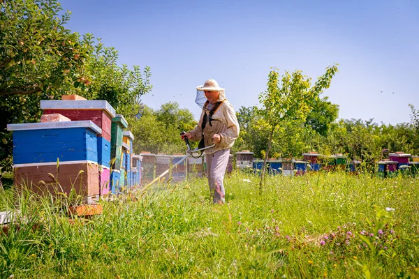 養蜂家は 蜂のコロニーに配置された蜂の巣の中で コードレスの手の芝刈り機 ガソリン草のトリマー エッジャーで草を切っています 夏の間の生い茂った植生 — ストック写真