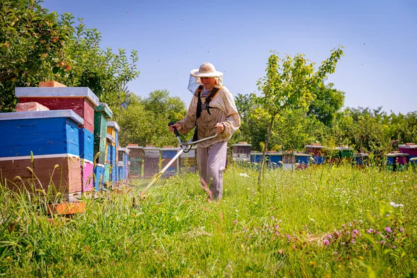 Jardineiro Apicultor Está Cortando Grama Com Cortador Mão Sem Fio — Fotografia de Stock