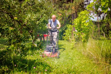 Bahçıvan bahçesinde çim biçme makinesiyle meyve ağaçları arasında çim biçiyor..