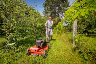 Bahçıvan bahçesinde çim biçme makinesiyle meyve ağaçları arasında çim biçiyor..