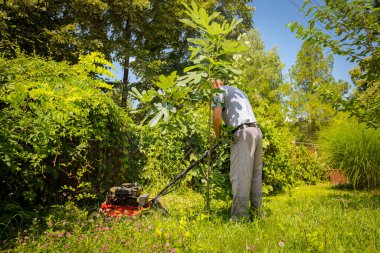 Bahçıvan bahçesinde çim biçme makinesiyle meyve ağaçları arasında çim biçiyor..