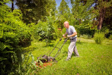 Bahçıvan bahçesinde çim biçme makinesiyle meyve ağaçları arasında çim biçiyor..