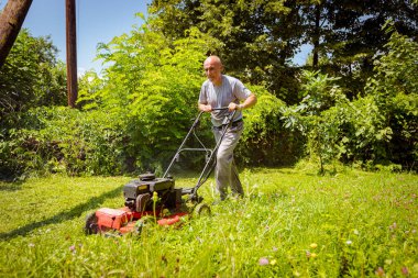 Bahçıvan bahçesinde çim biçme makinesiyle meyve ağaçları arasında çim biçiyor..