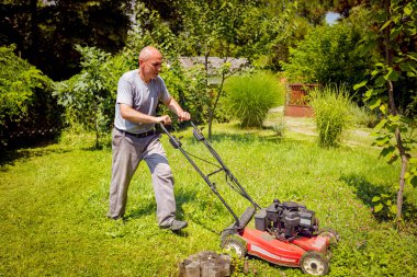 Bahçıvan bahçesinde çim biçme makinesiyle meyve ağaçları arasında çim biçiyor..
