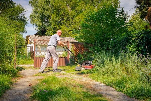 Trädgårdsmästare Klipper Gräs Sin Gård Med Motorgräsklippare Bland Fruktträd — Stockfoto