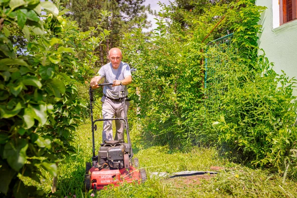 Bahçıvan Bahçesinde Çim Biçme Makinesiyle Meyve Ağaçları Arasında Çim Biçiyor — Stok fotoğraf