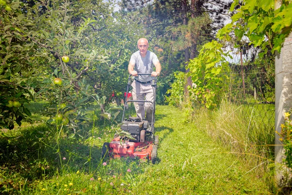 庭師は果樹園の中の草を刈っていて 芝刈り機は排煙を出す — ストック写真