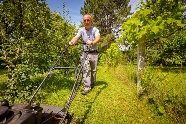 庭師は果樹の中の運動芝刈り機で庭の草を刈っています — ストック写真