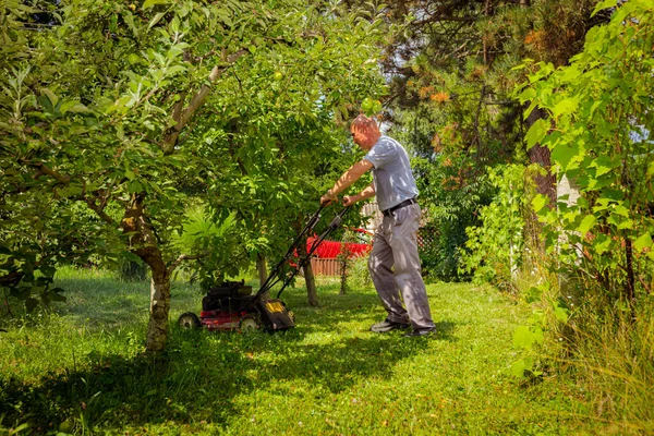 庭師は果樹の中の運動芝刈り機で庭の草を刈っています — ストック写真