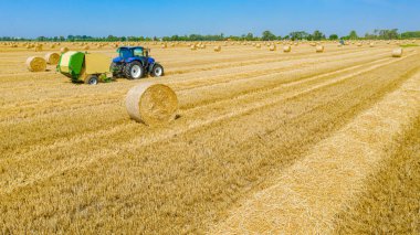 Traktörün yukarısında mercimeği fırına veren makine, kamışı yuvarlıyor ve tarımsal alanın üzerine yuvarlanmış bir balya püskürtüyor..
