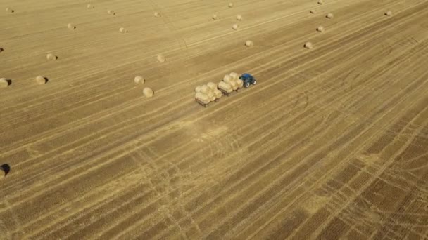 在摄像机上俯瞰 娃娃式的移动轨道 牵引车似的拖着拖车堆积如山 整整整齐齐地骑在农田 麦茬上 — 图库视频影像