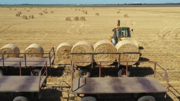 上图为挖掘机在拖车上装载稻草包 在农田用拖拉机拖曳 使用叉车叶片 附加载体 — 图库视频影像