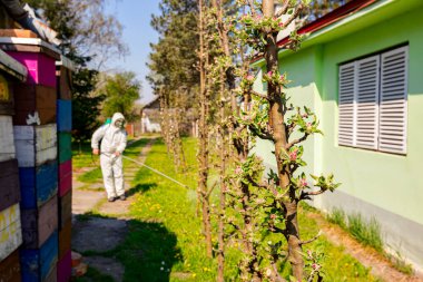 Meyve bahçesindeki elma ağaçlarının dalında çiçek tomurcukları, çeşitli boş arı kovanları ve kulübelerin arasında koruyucu bir çiftçi, meyve dallarına uzun spreyler sıkar..