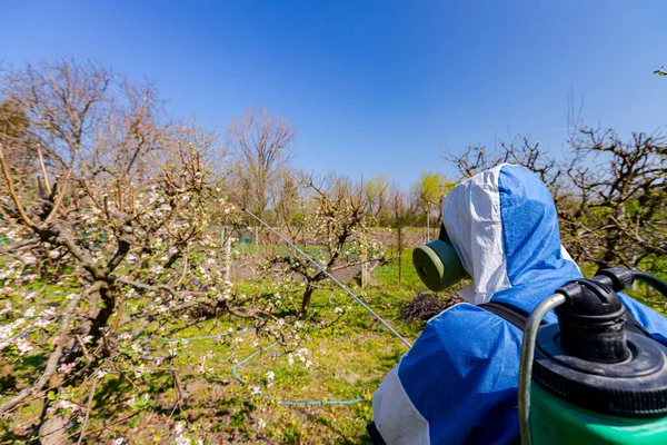 Sırtında Maske Teneke Kutusuyla Çiftçiyi Yakından Çekerken Meyve Bahçesindeki Meyve — Stok fotoğraf