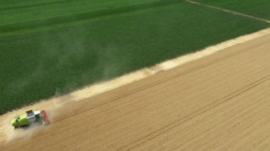 Yukarıda, kamera görüntüsü, doli hasat aracının yörüngesinde hareket ediyor, kesme ve biçme alanlarındaki olgun buğdayları birleştiriyor.