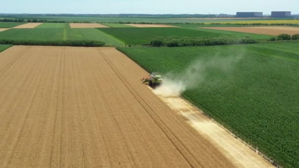 上記のビューでは カメラのパンニング ドリーは 農地で成熟した小麦を切断し 収穫を組み合わせる 収穫者の周りの軌道を移動します — ストック動画